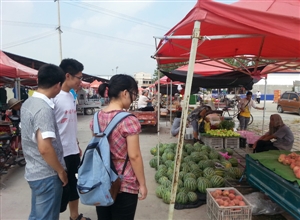 訪農村,看進步----礦大文法學生會暑期實踐團了解農村變化