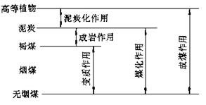 煤田地質基礎知識教案-中國礦業大學