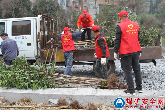 觀文煤礦積極參加觀文鎮政府組織的植樹節公益活動