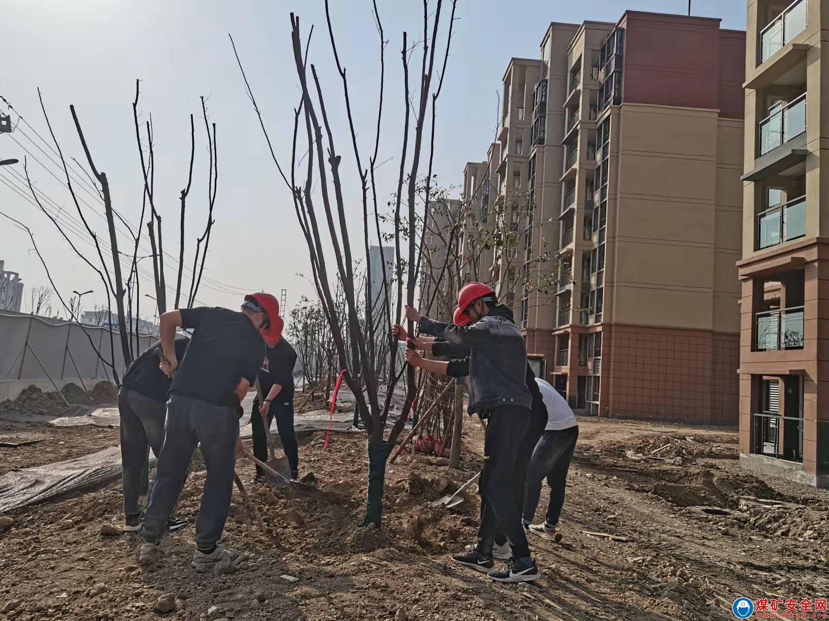 植樹添新綠，不負好時節——淮北片區項目部開展義務植樹活動