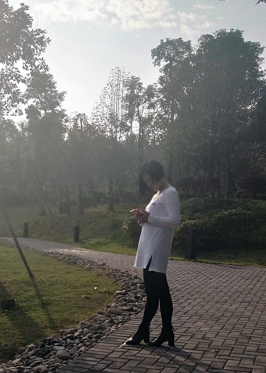 仲秋麗陽