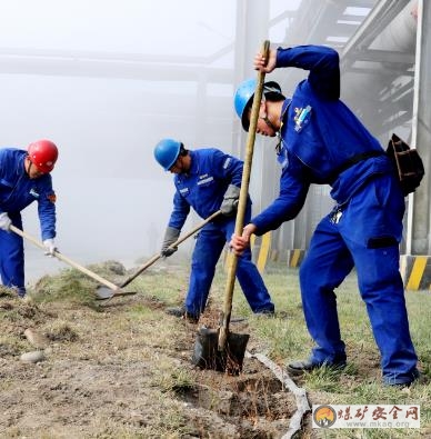 天業集團電石產業天偉電石多措並舉做好冬季苗木栽植工作