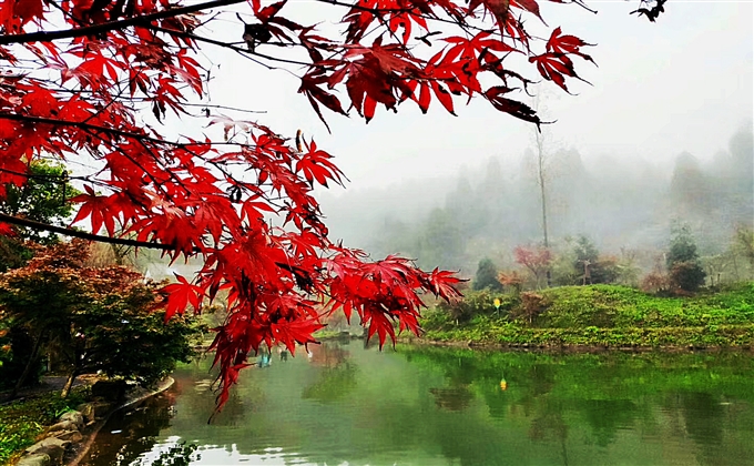 秋---何建民