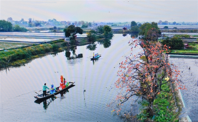 美麗鄉村