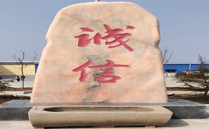 隨手拍