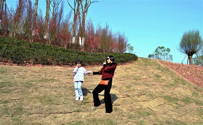 疫去春又歸，堤柳雲煙醉，碧水藍天間，相伴樂天倫---何建民