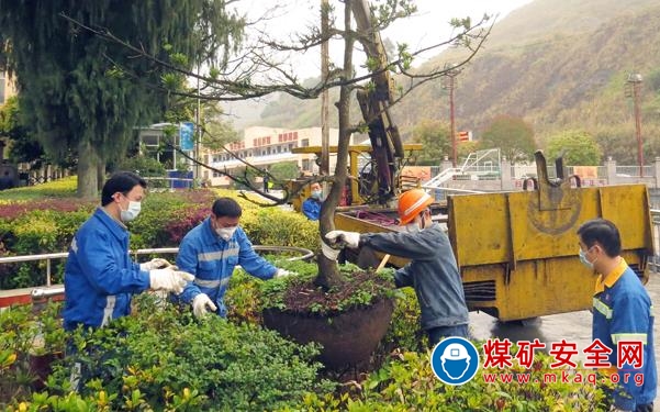 廣西高峰礦業公司兩黨支部開展2020年義務植樹活動