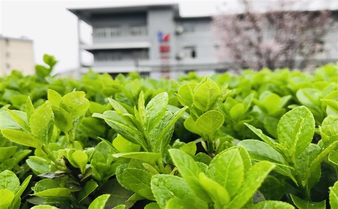 雨後礦山