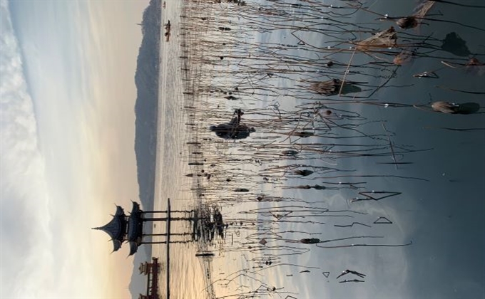 水光瀲灩晴方好，山色空蒙雨亦奇