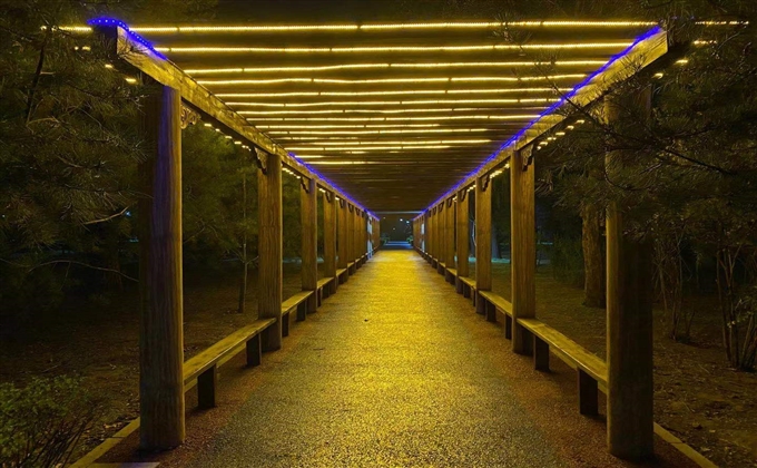 靜夜