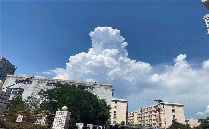 雲獅