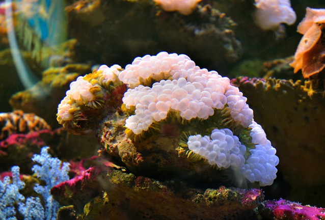 《海底世界》