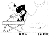 雙保險 朱天明漫畫作品