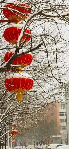 柴霞榮:冬日