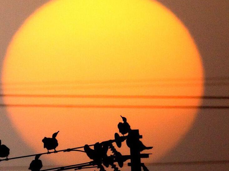 夕陽 沈虹攝影作品