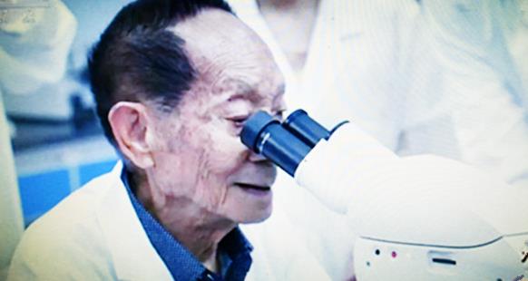院士風彩-楊福建
