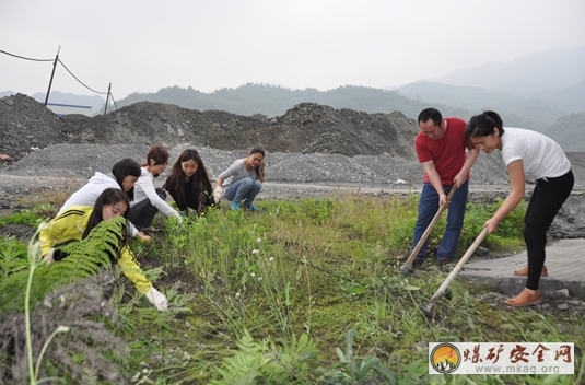 船景公司團員青年清除雜草 美化礦區