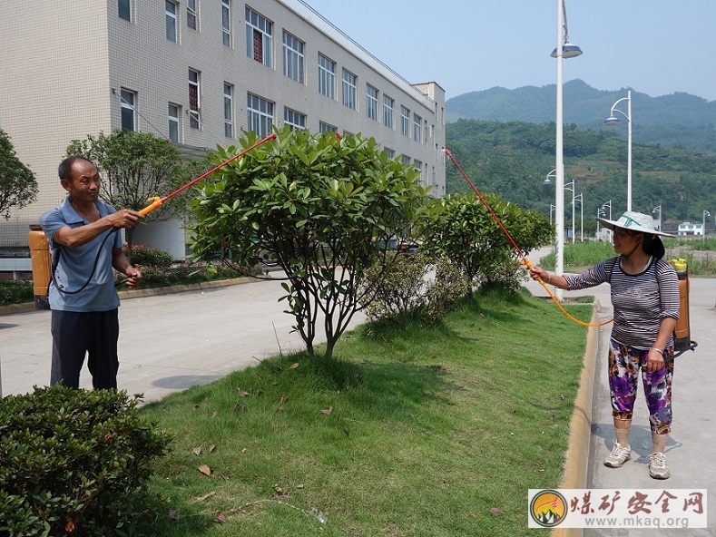船景公司為綠化帶樹木噴灑農藥防蟲害