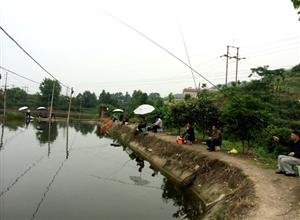 華鎣山廣能公司南二井開展釣魚比賽
