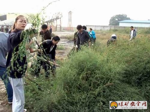 澄合礦業二礦分公司機關工作人員義務勞動“扮靚”礦區環境