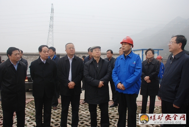 全國人大環資委副主任委員王雲龍到蒲洲熱電公司調研