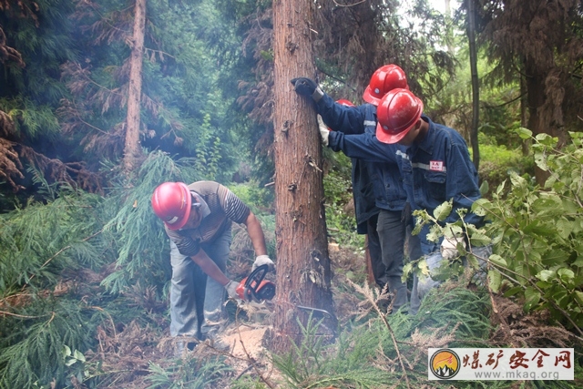 轎子山煤礦：巡視維護線路----清障砍青側記
