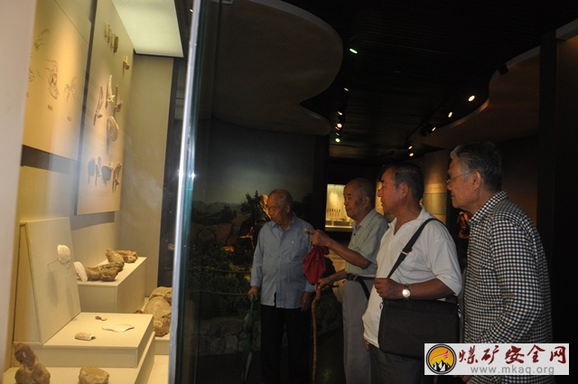 蒲洲熱電老黨員老幹部參觀永濟曆史文化展