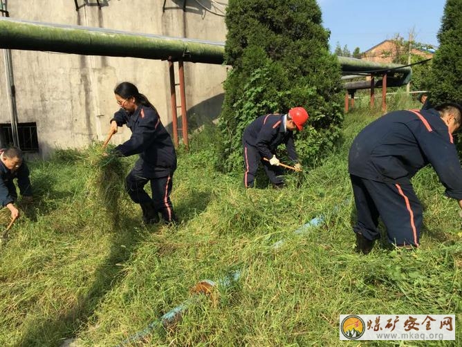 雙龍公司機電科開展主題黨員活動