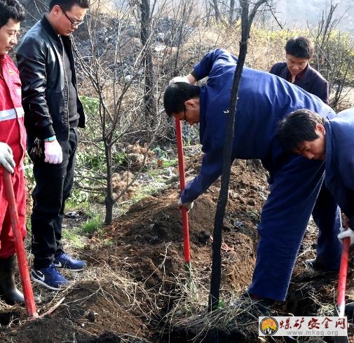陝煤澄合董礦分公司開春時節植樹忙