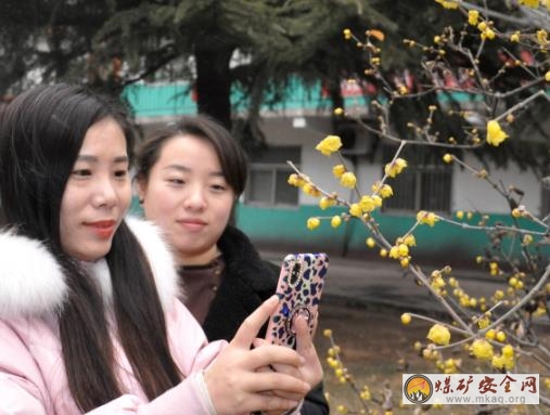 礦區春色漸漸濃