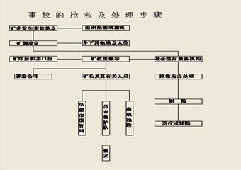 （2011年度）礦頂板事故應急預案