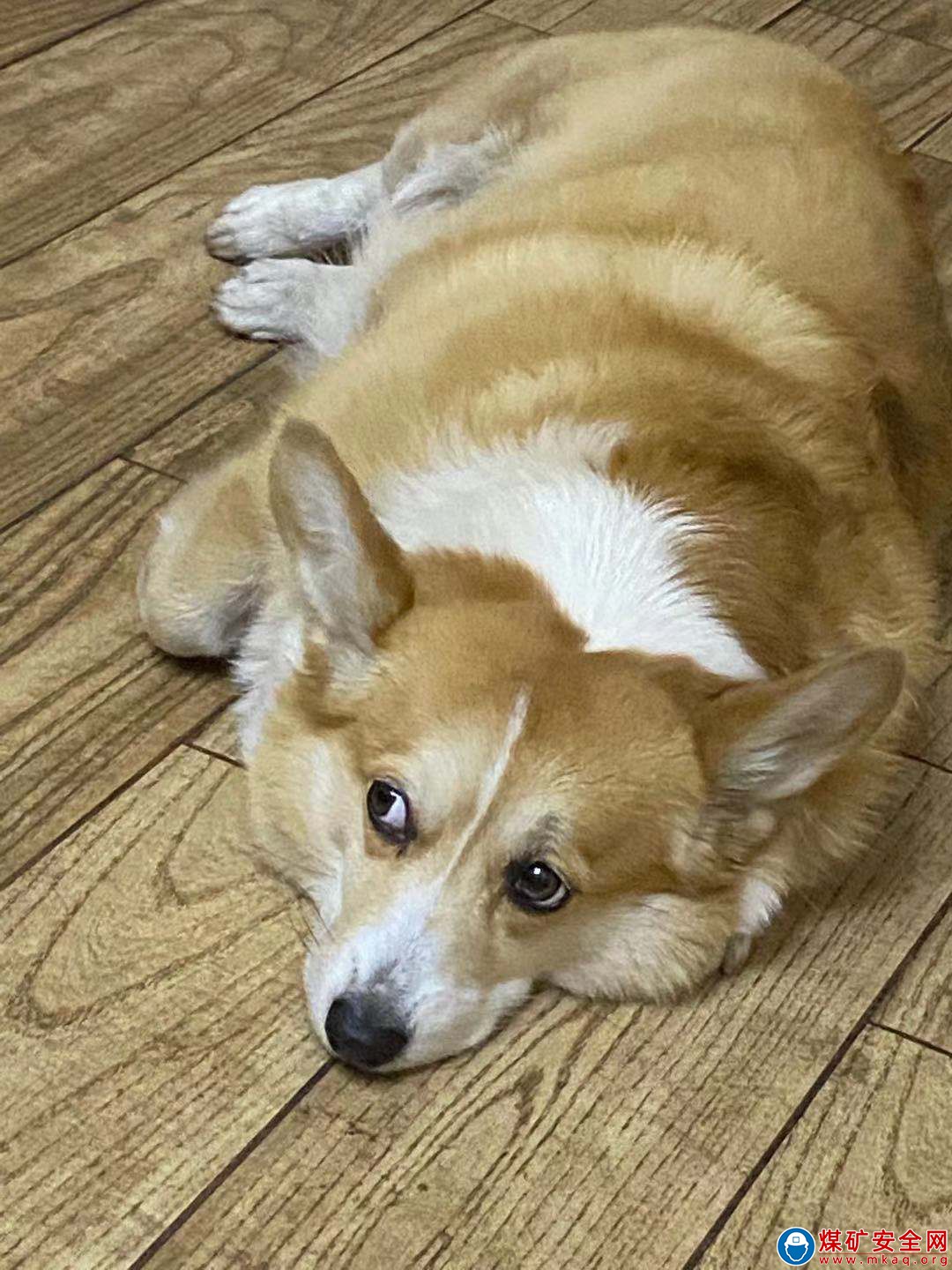 愜意