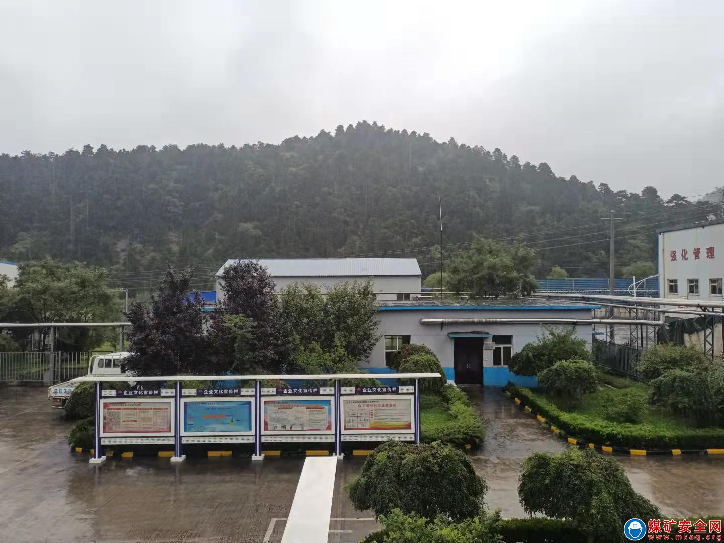 蒲白煤化運營公司   秋雨