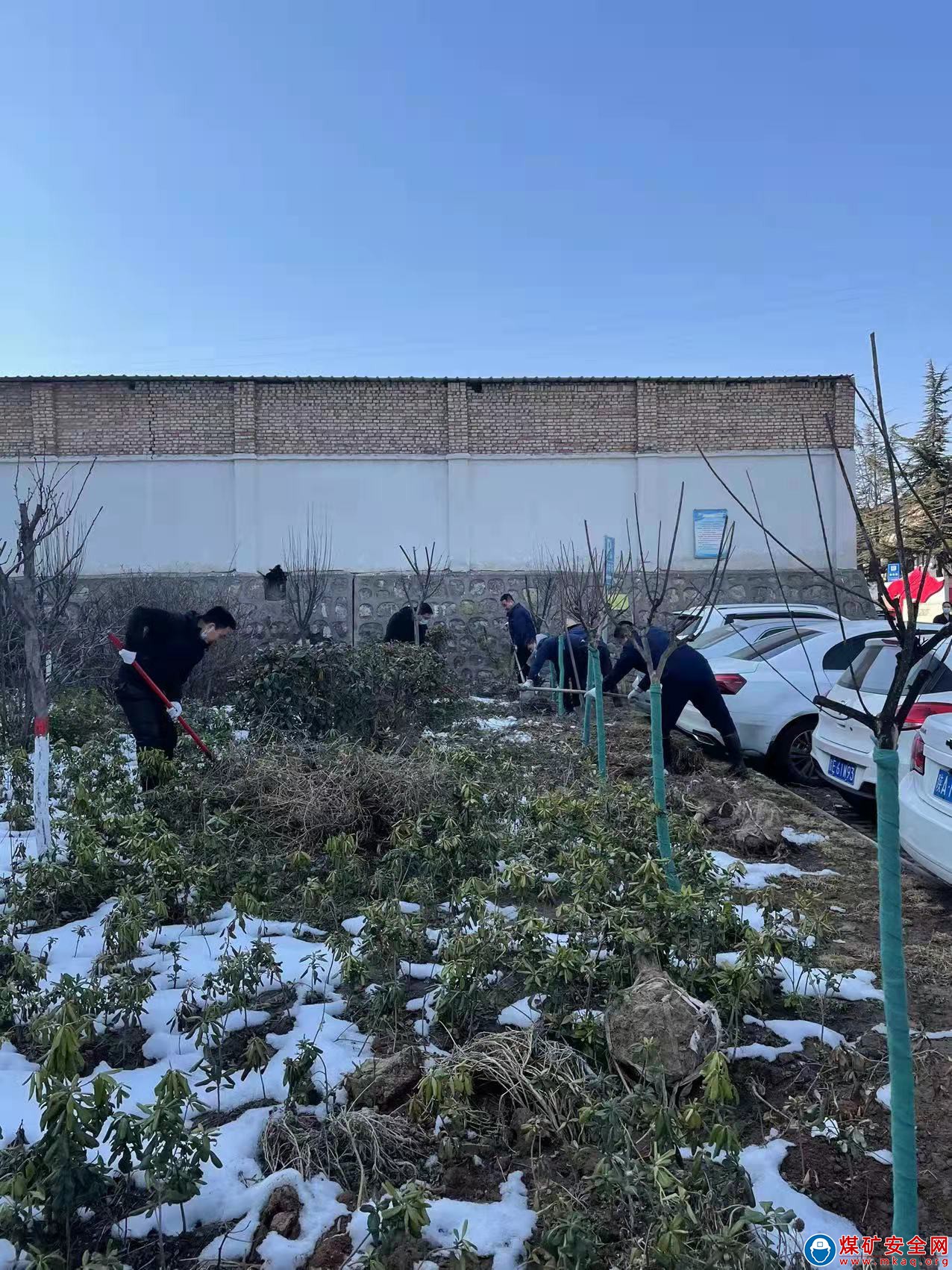 董礦材料科開展義務除草活動維護綠化環境