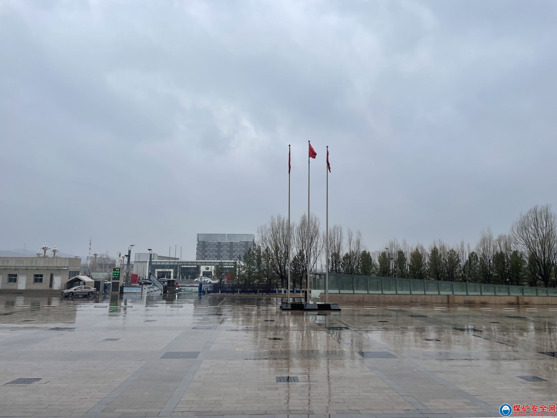 春  雨