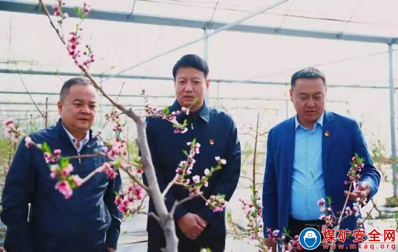 陝西中能煤田有限公司：春天裏的綠色消費引領者