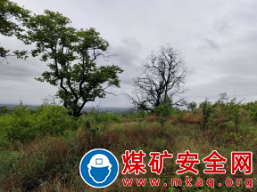 陝煤蒲白熱電公司：雷雨