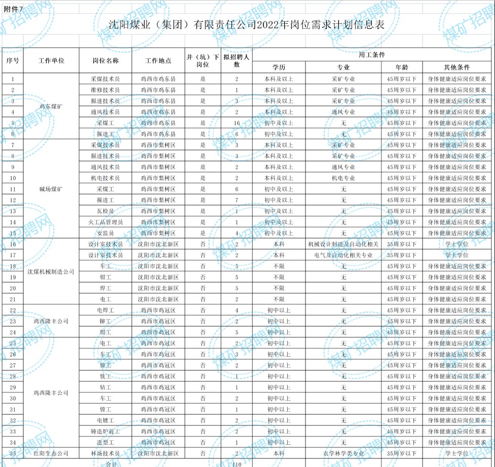 遼寧省能源產業控股集團有限責任公司所屬沈陽煤業(集團)有限責任公司招聘公告