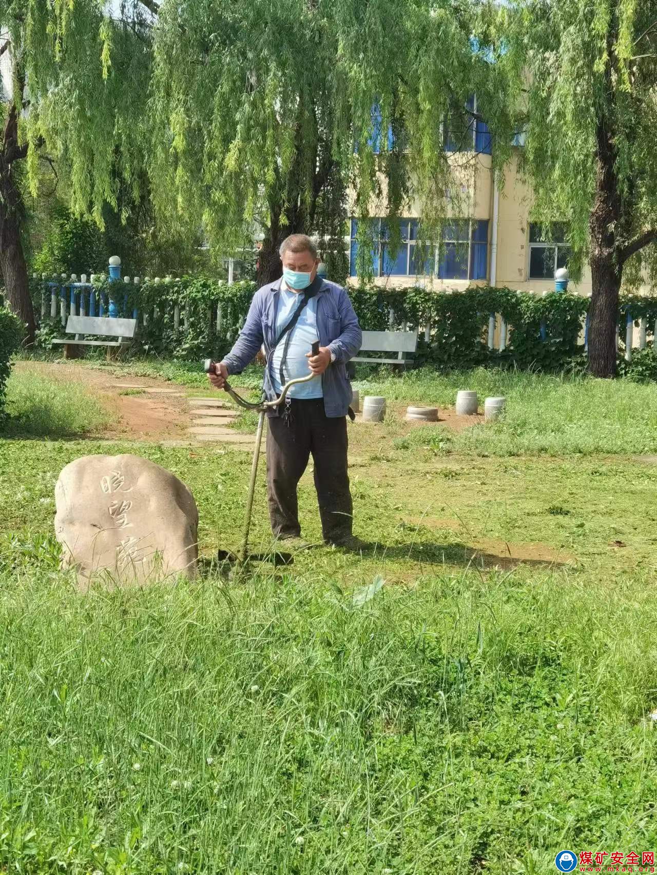 河南能源義煤公司石壕煤礦：修剪草坪攻堅綠色礦山