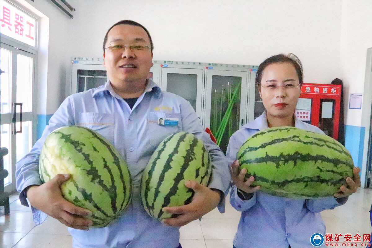 9噸“愛心西瓜”已到位 請查收 ——新疆天業集團能源管理公司工會積極開展防暑降溫“送清涼”活動