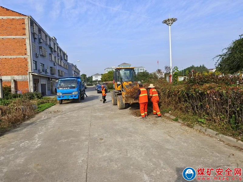 安徽廬江縣郭河鎮：開展道路沿線環境衛生整治