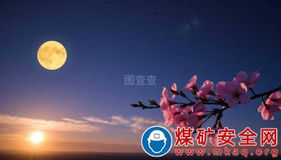“莊頭村”印象